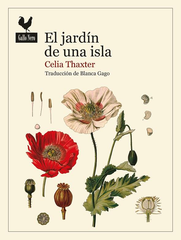 EL JARDÍN DE UNA ISLA | 9788419168139 | THAXTER, CELIA | Llibreria Ombra | Llibreria online de Rubí, Barcelona | Comprar llibres en català i castellà online
