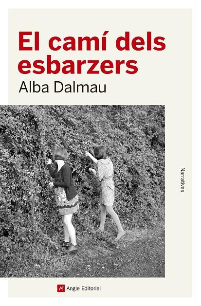 EL CAMÍ DELS ESBARZERS | 9788417214562 | DALMAU VIURE, ALBA | Llibreria Ombra | Llibreria online de Rubí, Barcelona | Comprar llibres en català i castellà online