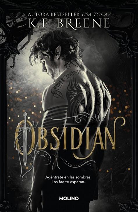 LOS FAE DE LAS SOMBRAS 1 - OBSIDIAN | 9788427257290 | BREENE, K.F. | Llibreria Ombra | Llibreria online de Rubí, Barcelona | Comprar llibres en català i castellà online