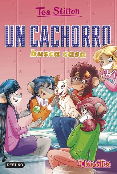 UN CACHORRO BUSCA CASA | 9788408231226 | STILTON, TEA | Llibreria Ombra | Llibreria online de Rubí, Barcelona | Comprar llibres en català i castellà online