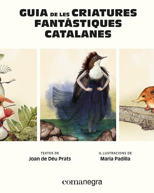 GUIA DE LES CRIATURES FANTÀSTIQUES CATALANES | 9788410161900 | PRATS, JOAN DE DÉU/PADILLA, MARIA | Llibreria Ombra | Llibreria online de Rubí, Barcelona | Comprar llibres en català i castellà online