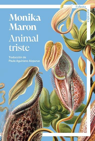 ANIMAL TRISTE | 9791387933081 | MARON, MONIKA | Llibreria Ombra | Llibreria online de Rubí, Barcelona | Comprar llibres en català i castellà online