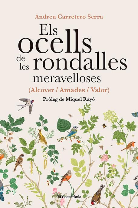 ELS OCELLS DE LES RONDALLES MERAVELLOSES | 9788413565415 | CARRETERO SERRA, ANDREU | Llibreria Ombra | Llibreria online de Rubí, Barcelona | Comprar llibres en català i castellà online