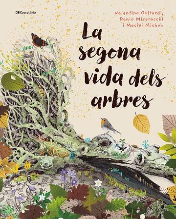 LA SEGONA VIDA DELS ARBRES | 9788413565040 | MISEROCCHI, DANIO/MICHNO, MACIEJ | Llibreria Ombra | Llibreria online de Rubí, Barcelona | Comprar llibres en català i castellà online