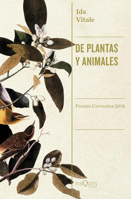 DE PLANTAS Y ANIMALES | 9788490666753 | VITALE, IDA | Llibreria Ombra | Llibreria online de Rubí, Barcelona | Comprar llibres en català i castellà online