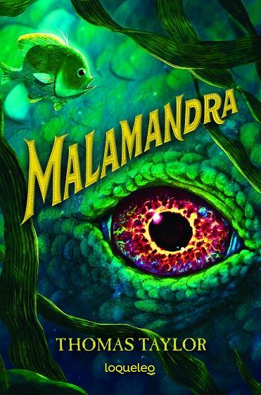 MALAMANDRA | 9788491223542 | TAYLOR, THOMAS | Llibreria Ombra | Llibreria online de Rubí, Barcelona | Comprar llibres en català i castellà online