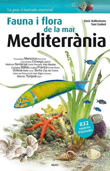FAUNA I FLORA DE LA MAR MEDITERRÀNIA | 9788415885979 | BALLESTEROS SAGARRA, ENRIC | Llibreria Ombra | Llibreria online de Rubí, Barcelona | Comprar llibres en català i castellà online