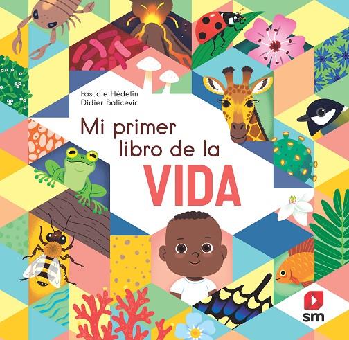 PLD. MI PRIMER LIBRO DE LA VIDA | 9788498569377 | HÉDELIN, PASCALE | Llibreria Ombra | Llibreria online de Rubí, Barcelona | Comprar llibres en català i castellà online