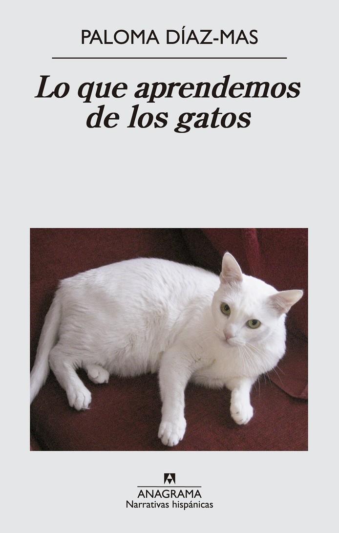 LO QUE APRENDEMOS DE LOS GATOS | 9788433997807 | PALOMA DIAZ-MAS | Llibreria Ombra | Llibreria online de Rubí, Barcelona | Comprar llibres en català i castellà online