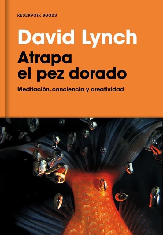 ATRAPA EL PEZ DORADO | 9788416709014 | LYNCH, DAVID | Llibreria Ombra | Llibreria online de Rubí, Barcelona | Comprar llibres en català i castellà online