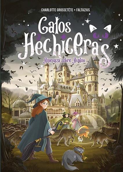 GATOS Y HECHICERAS - VOL II | 9788491456636 | GROSSETÊTE, CHARLOTTE | Llibreria Ombra | Llibreria online de Rubí, Barcelona | Comprar llibres en català i castellà online