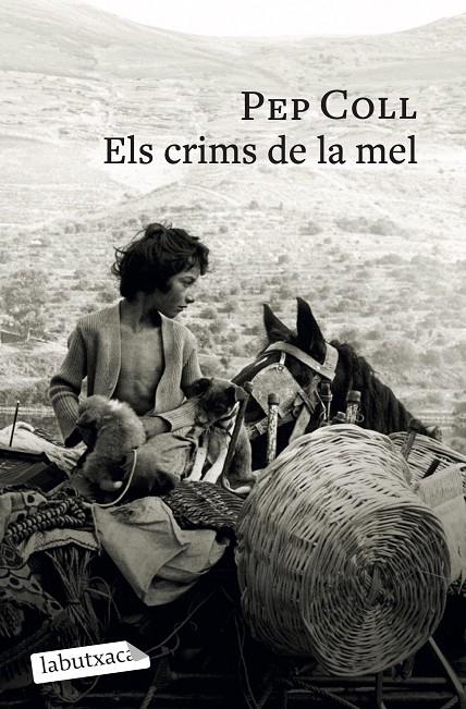 ELS CRIMS DE LA MEL | 9791387802196 | COLL, PEP | Llibreria Ombra | Llibreria online de Rubí, Barcelona | Comprar llibres en català i castellà online