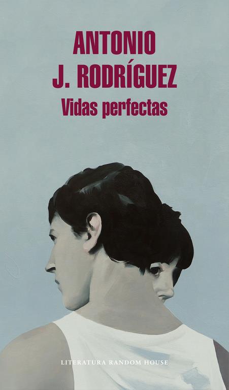 VIDAS PERFECTAS | 9788439732891 | ANTONIO J. RODRÍGUEZ | Llibreria Ombra | Llibreria online de Rubí, Barcelona | Comprar llibres en català i castellà online
