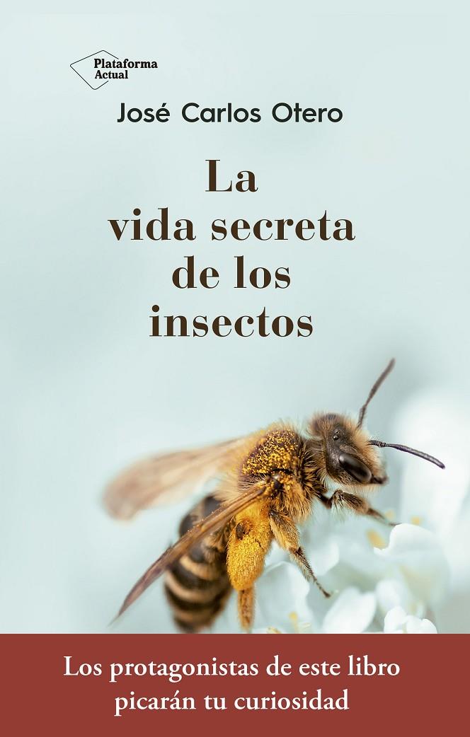 LA VIDA SECRETA DE LOS INSECTOS | 9788417376789 | OTERO GONZÁLEZ, JOSÉ CARLOS | Llibreria Ombra | Llibreria online de Rubí, Barcelona | Comprar llibres en català i castellà online