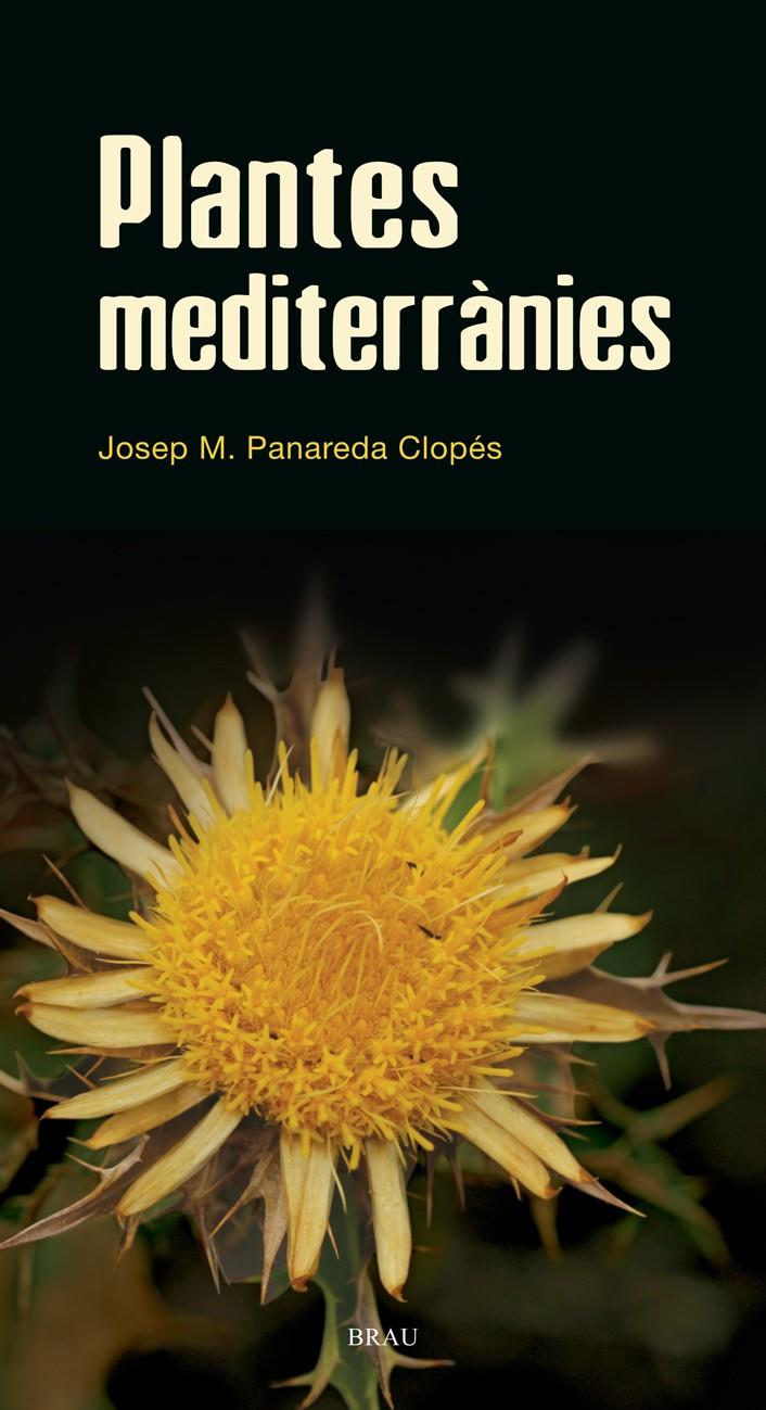 PLANTES MEDITERRÀNIES | 9788496905528 | PANAREDA CLOPÉS, JOSEP MARIA | Llibreria Ombra | Llibreria online de Rubí, Barcelona | Comprar llibres en català i castellà online