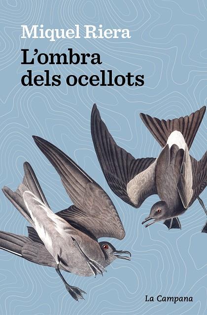 L’OMBRA DELS OCELLOTS | 9788419245175 | RIERA, MIQUEL | Llibreria Ombra | Llibreria online de Rubí, Barcelona | Comprar llibres en català i castellà online