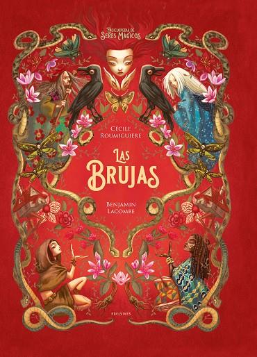 LAS BRUJAS | 9788414041697 | ROUMIGUIÈRE, CÈCILE | Llibreria Ombra | Llibreria online de Rubí, Barcelona | Comprar llibres en català i castellà online