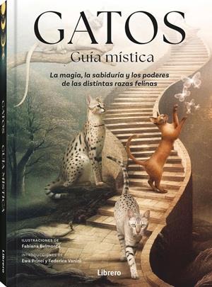 GATOS GUIA MISTICA | 9789464992007 | BELMONTE, FABIANA | Llibreria Ombra | Llibreria online de Rubí, Barcelona | Comprar llibres en català i castellà online