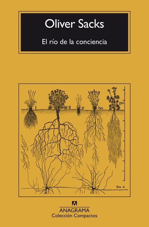 EL RÍO DE LA CONCIENCIA | 9788433946867 | SACKS, OLIVER | Llibreria Ombra | Llibreria online de Rubí, Barcelona | Comprar llibres en català i castellà online