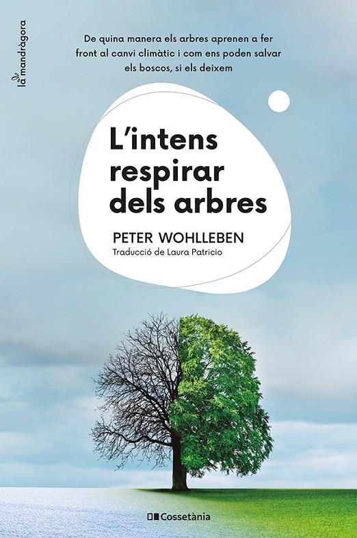 L'INTENS RESPIRAR DELS ARBRES | 9788413562087 | WOHLLEBEN, PETER | Llibreria Ombra | Llibreria online de Rubí, Barcelona | Comprar llibres en català i castellà online