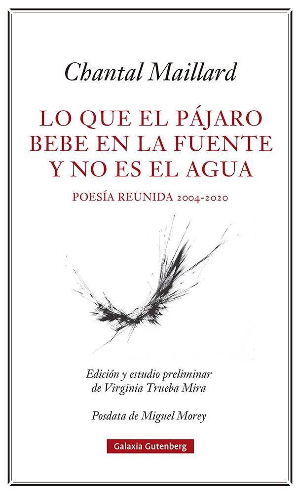 LO QUE EL PÁJARO BEBE EN LA FUENTE Y NO ES EL AGUA | 9788418807633 | MAILLARD, CHANTAL | Llibreria Ombra | Llibreria online de Rubí, Barcelona | Comprar llibres en català i castellà online