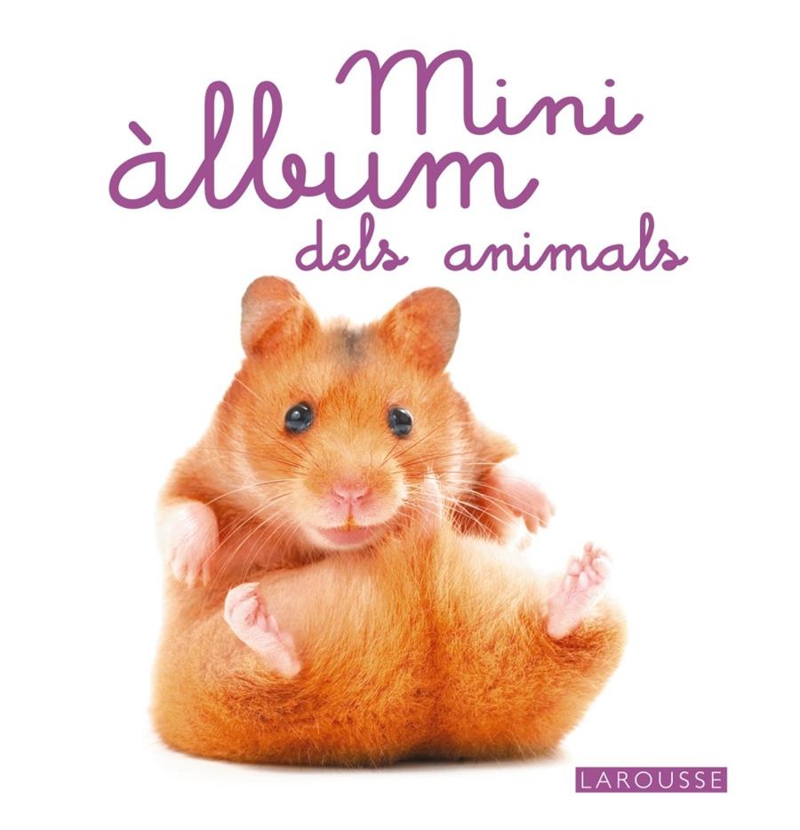 MINI ALBUM DELS ANIMALS | 9788480169981 | Llibreria Ombra | Llibreria online de Rubí, Barcelona | Comprar llibres en català i castellà online