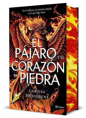 EL PÁJARO Y EL CORAZÓN DE PIEDRA (EDICIÓN DELUXE) | 9788408314288 | BROADBENT, CARISSA | Llibreria Ombra | Llibreria online de Rubí, Barcelona | Comprar llibres en català i castellà online