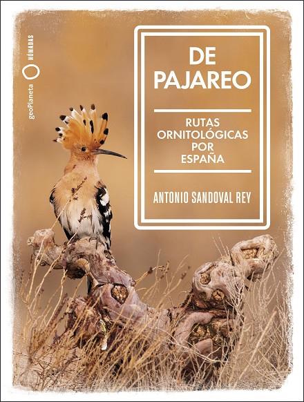 DE PAJAREO | 9788408251514 | SANDOVAL, ANTONIO | Llibreria Ombra | Llibreria online de Rubí, Barcelona | Comprar llibres en català i castellà online