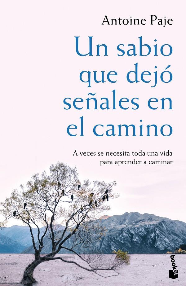 UN SABIO QUE DEJÓ SEÑALES EN EL CAMINO | 9788408166382 | ANTOINE PAJE | Llibreria Ombra | Llibreria online de Rubí, Barcelona | Comprar llibres en català i castellà online
