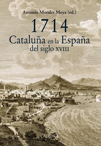 1714 CATALUÑA EN LA ESPAÑA DEL SIGLO XVIII | 9788437633145 | ANTONIO MORALES MOYA (ED.) | Llibreria Ombra | Llibreria online de Rubí, Barcelona | Comprar llibres en català i castellà online