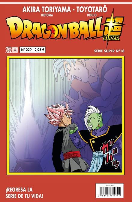 DRAGON BALL SERIE ROJA Nº 229 | 9788491734741 | TORIYAMA, AKIRA | Llibreria Ombra | Llibreria online de Rubí, Barcelona | Comprar llibres en català i castellà online
