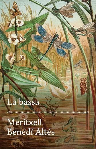 LA BASSA | 9788417353728 | BENEDÍ, MERITXELL | Llibreria Ombra | Llibreria online de Rubí, Barcelona | Comprar llibres en català i castellà online