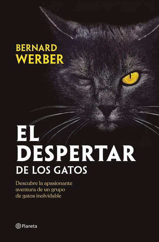 EL DESPERTAR DE LOS GATOS | 9788408251835 | WERBER, BERNARD | Llibreria Ombra | Llibreria online de Rubí, Barcelona | Comprar llibres en català i castellà online