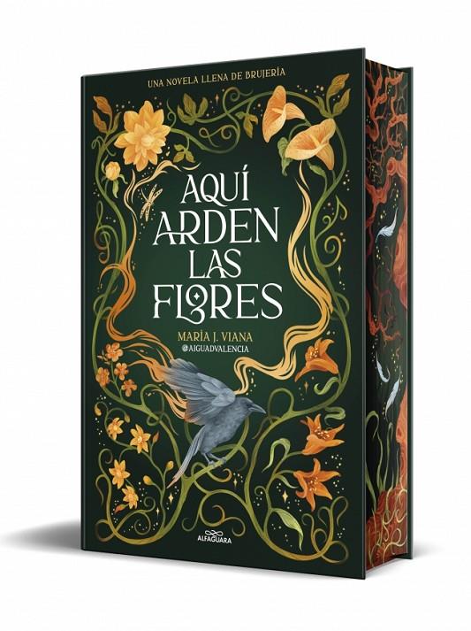 AQUÍ ARDEN LAS FLORES | 9791387741662 | @AIGUADVALENCIA | Llibreria Ombra | Llibreria online de Rubí, Barcelona | Comprar llibres en català i castellà online
