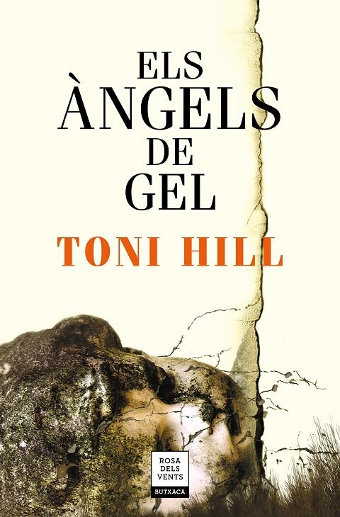 ELS ÀNGELS DE GEL | 9788417444679 | HILL, TONI | Llibreria Ombra | Llibreria online de Rubí, Barcelona | Comprar llibres en català i castellà online