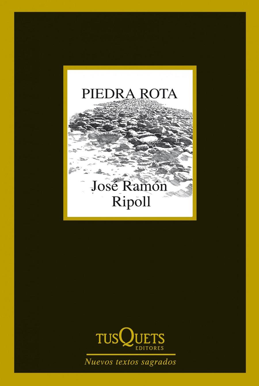 PIEDRA ROTA | 9788483834787 | JOSÉ RAMÓN RIPOLL | Llibreria Ombra | Llibreria online de Rubí, Barcelona | Comprar llibres en català i castellà online