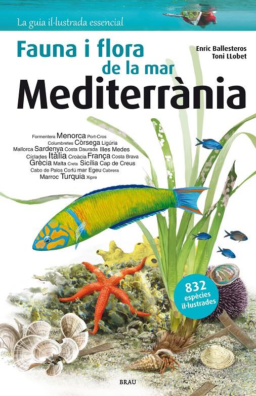 FLORA I FAUNA DE LA MAR MEDITERRÀNIA | 9788415885252 | BALLESTEROS SAGARRA, ENRIC | Llibreria Ombra | Llibreria online de Rubí, Barcelona | Comprar llibres en català i castellà online