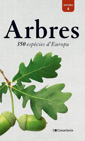 ARBRES | 9788413563206 | SPOHN, MARGOT/SPOHN, ROLAND | Llibreria Ombra | Llibreria online de Rubí, Barcelona | Comprar llibres en català i castellà online