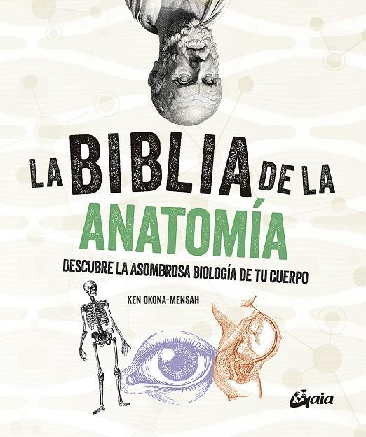 LA BIBLIA DE LA ANATOMÍA | 9788484459521 | OKONA-MENSAH, KEN | Llibreria Ombra | Llibreria online de Rubí, Barcelona | Comprar llibres en català i castellà online