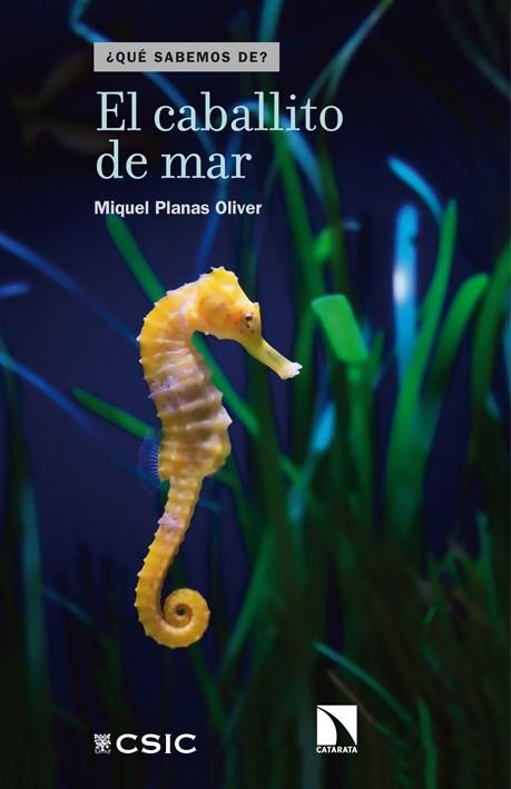 EL CABALLITO DE MAR | 9788483199206 | MIQUEL PLANAS OLIVER | Llibreria Ombra | Llibreria online de Rubí, Barcelona | Comprar llibres en català i castellà online