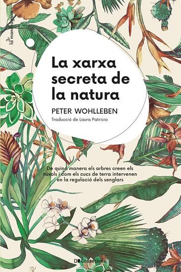 LA XARXA SECRETA DE LA NATURA | 9788413562872 | WOHLLEBEN, PETER | Llibreria Ombra | Llibreria online de Rubí, Barcelona | Comprar llibres en català i castellà online