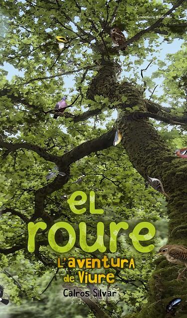 EL ROURE | 9788490340318 | SILVAR, CALROS | Llibreria Ombra | Llibreria online de Rubí, Barcelona | Comprar llibres en català i castellà online
