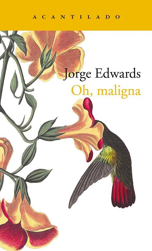 OH, MALIGNA | 9788417902070 | EDWARDS VALDÉS, JORGE | Llibreria Ombra | Llibreria online de Rubí, Barcelona | Comprar llibres en català i castellà online