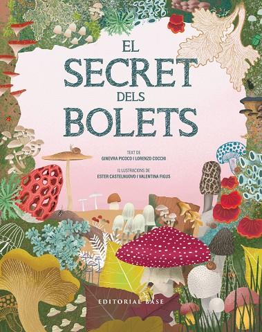 EL SECRET DELS BOLETS | 9791387728502 | PICOCO, GINEVRA/COCCHI, LORENZO | Llibreria Ombra | Llibreria online de Rubí, Barcelona | Comprar llibres en català i castellà online