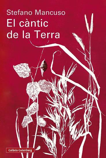 EL CÀNTIC DE LA TERRA | 9791388019852 | MANCUSO, STEFANO | Llibreria Ombra | Llibreria online de Rubí, Barcelona | Comprar llibres en català i castellà online