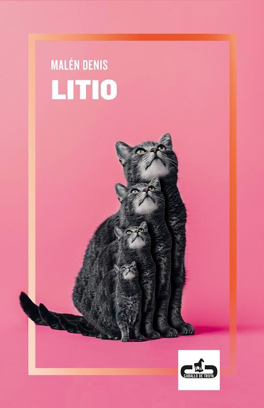 LITIO | 9788417417161 | DENÍS, MALÉN | Llibreria Ombra | Llibreria online de Rubí, Barcelona | Comprar llibres en català i castellà online