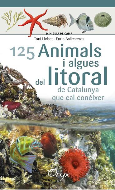 125 ANIMALS I ALGUES DEL LITORAL DE CATALUNYA | 9788490347416 | BALLESTEROS SAGARRA, ENRIC | Llibreria Ombra | Llibreria online de Rubí, Barcelona | Comprar llibres en català i castellà online