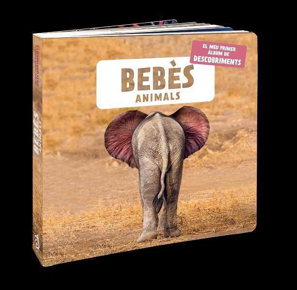 BEBÈS ANIMALS | 9788418762109 | NATURAGENCY | Llibreria Ombra | Llibreria online de Rubí, Barcelona | Comprar llibres en català i castellà online