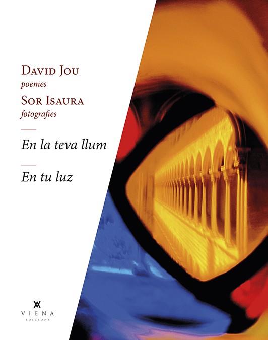EN LA TEVA LLUM - EN TU LUZ | 9788418908262 | JOU MIRABENT, DAVID | Llibreria Ombra | Llibreria online de Rubí, Barcelona | Comprar llibres en català i castellà online