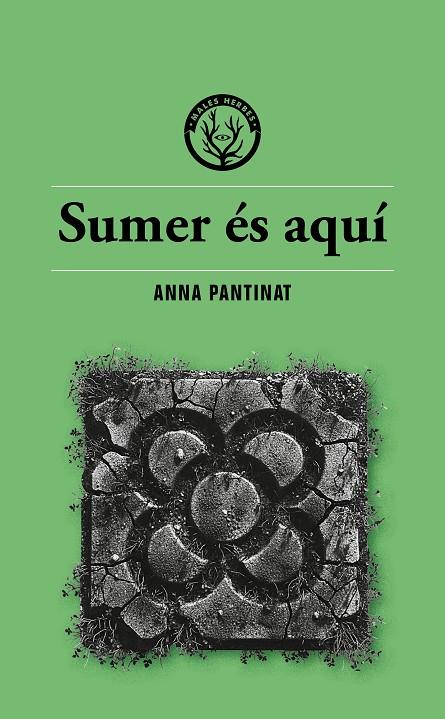 SUMER ÉS AQUÍ | 9791399014686 | ANNA PANTINAT | Llibreria Ombra | Llibreria online de Rubí, Barcelona | Comprar llibres en català i castellà online